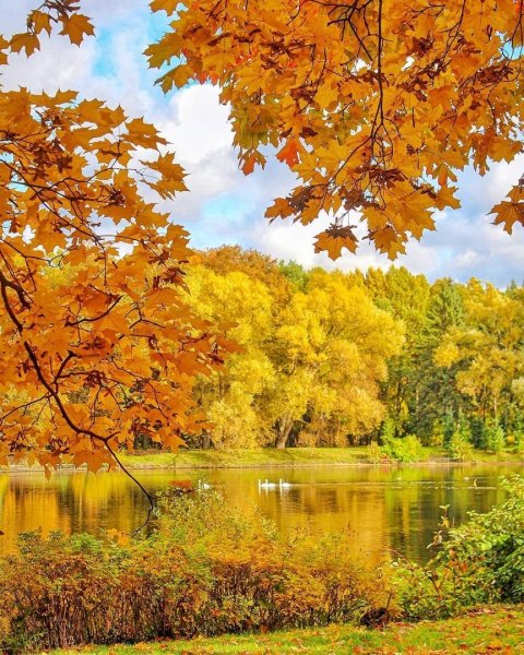 Осенний денек