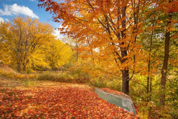 Осенние деньки фото