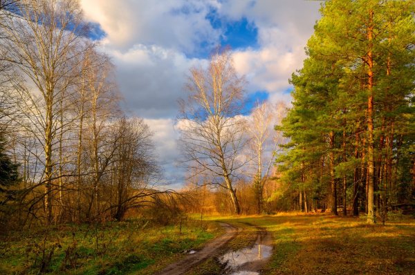 Осенний денек