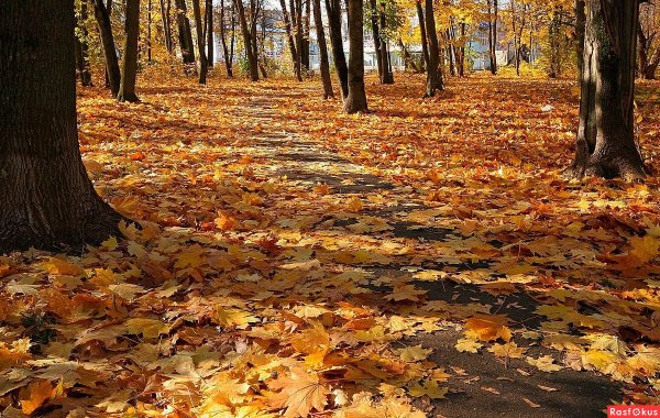 Осенний денек