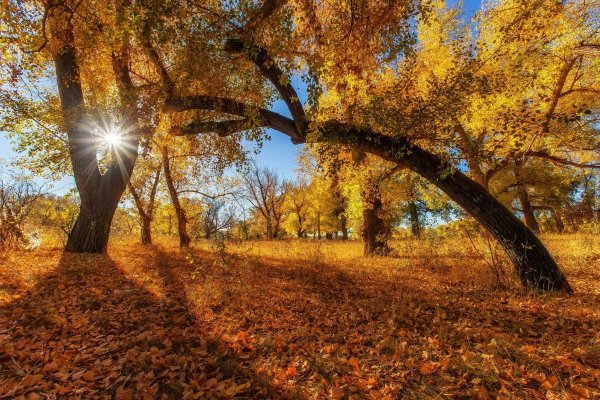 Солнечный осенний день