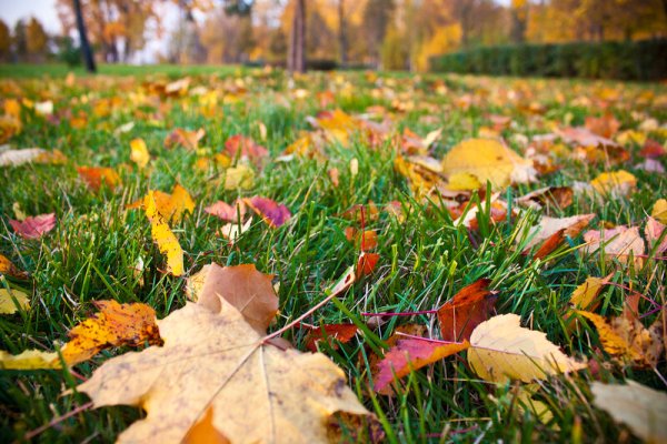 Осенние деньки фото