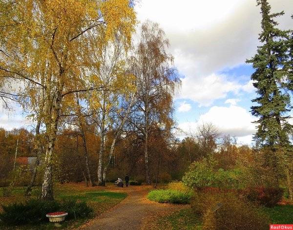 Солнечного Октябрьского дня