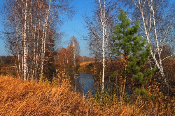 Осенний денек