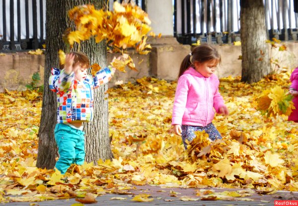 Солнечный осенний денек