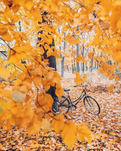 Теплых осенних деньков