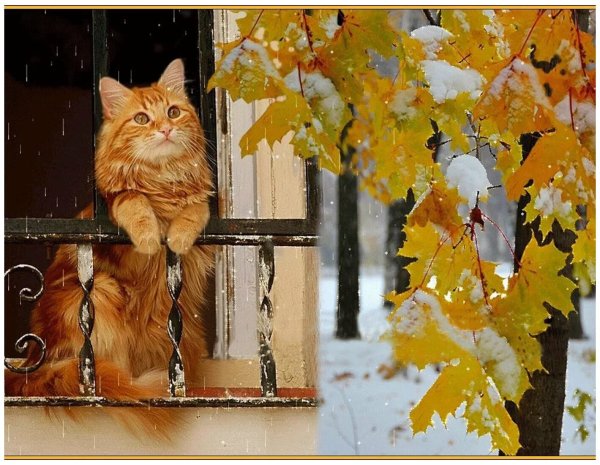 С последним днем осени