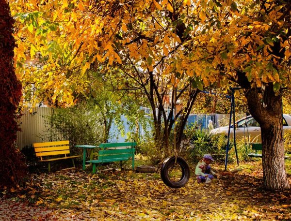 Осень во дворе