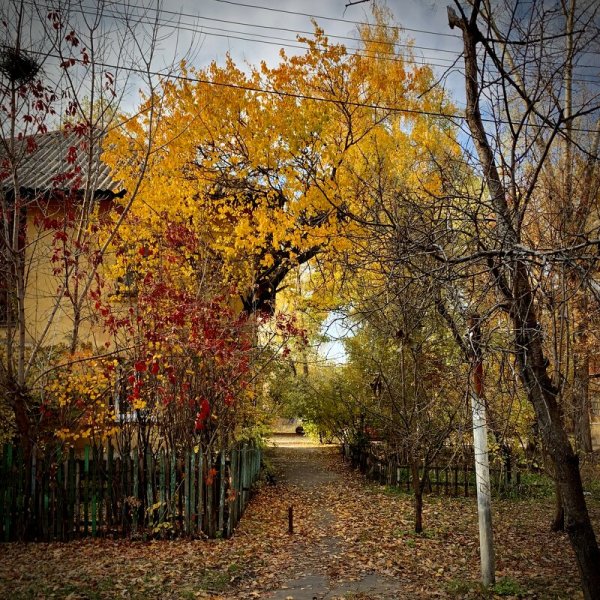 Двор осенью