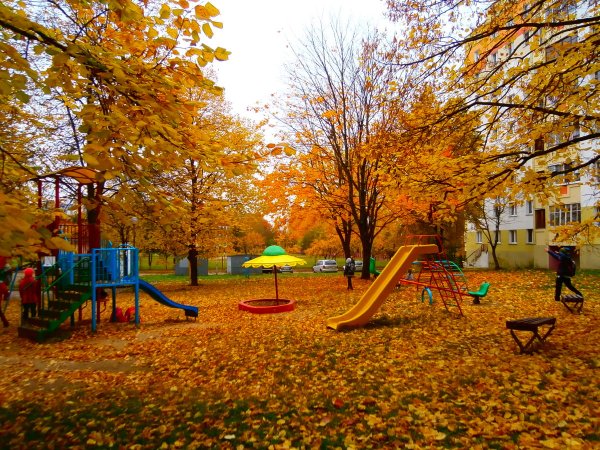 Двор осенью