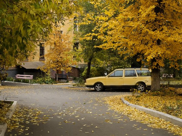 Осень во дворе