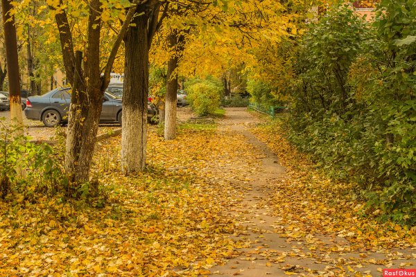 Городской двор осенью
