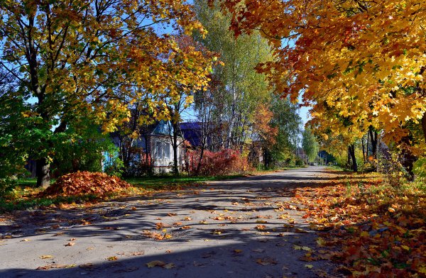 Городской двор осенью