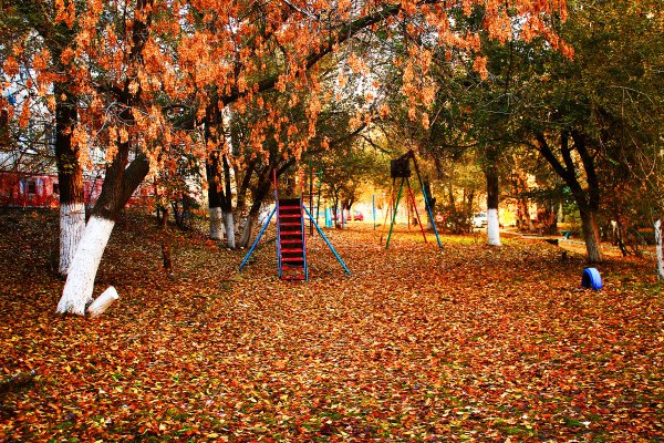 Осень во дворе