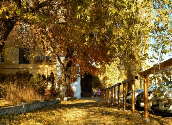 Осенний двор