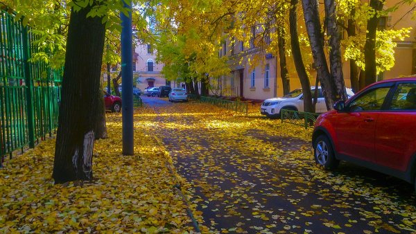 Двор осенью