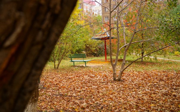 Осенняя площадка