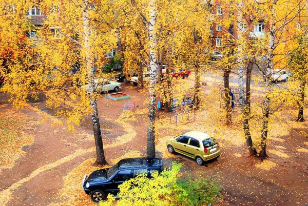 Осенний вид двор