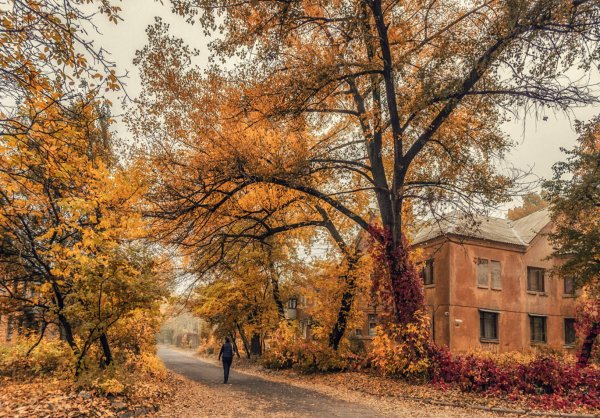 Двор осенью