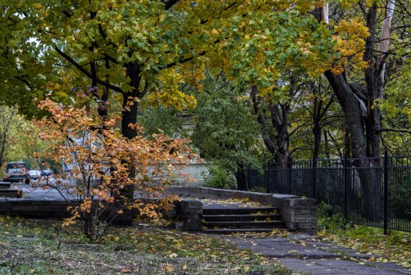 Осень во дворе