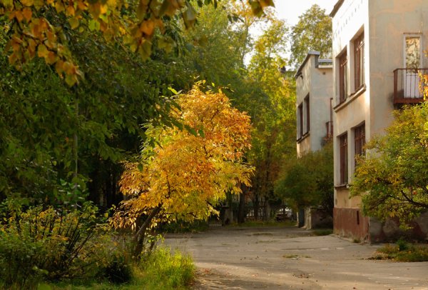 Осень во дворе