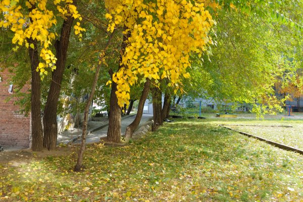 Осенний школьный двор