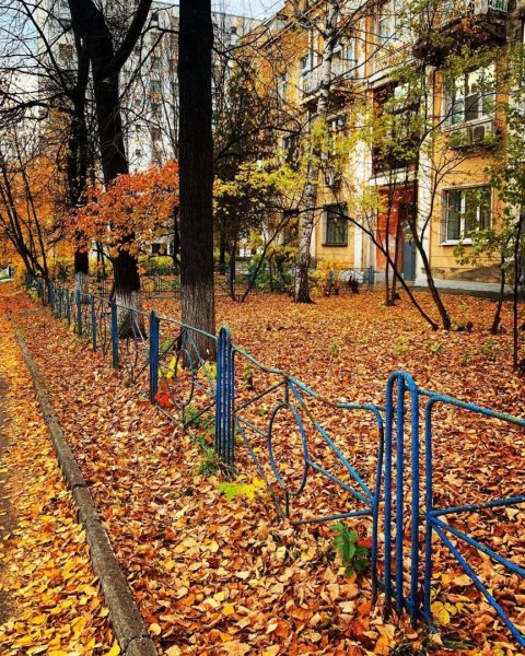 Осенний Солнечный двор