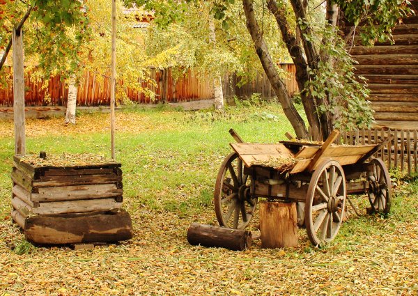 Осень во дворе
