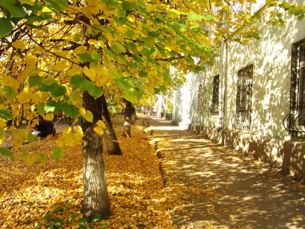 Осень в городе