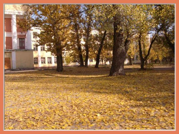 Школьный двор осенью