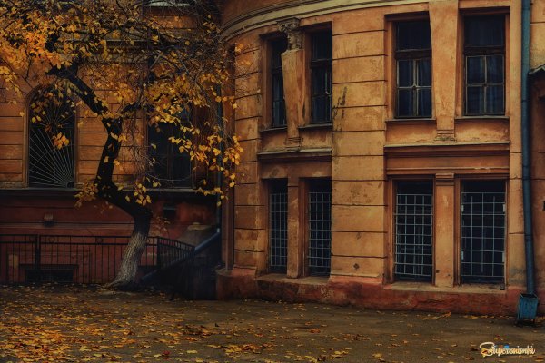 Осенние дворы Питера