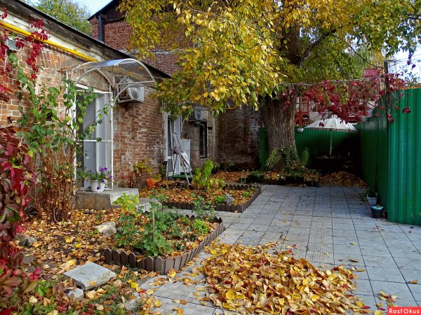 Двор осенью