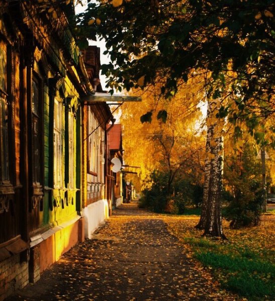 Осенняя улица