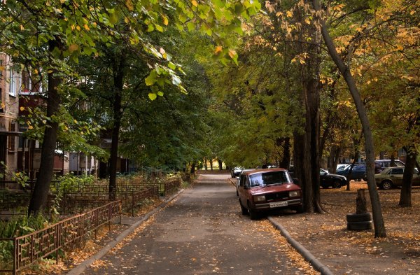 Осенний двор