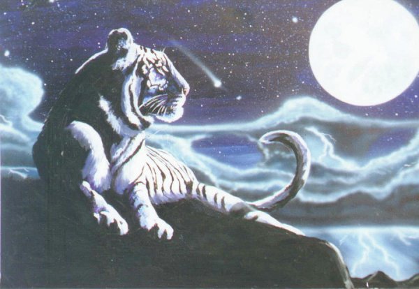 Тайгер Мун
