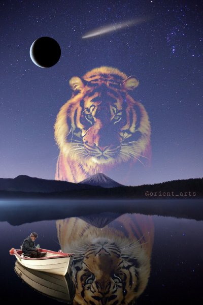 Тайгер Мун