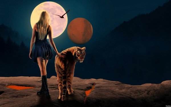 Тигр и девушка