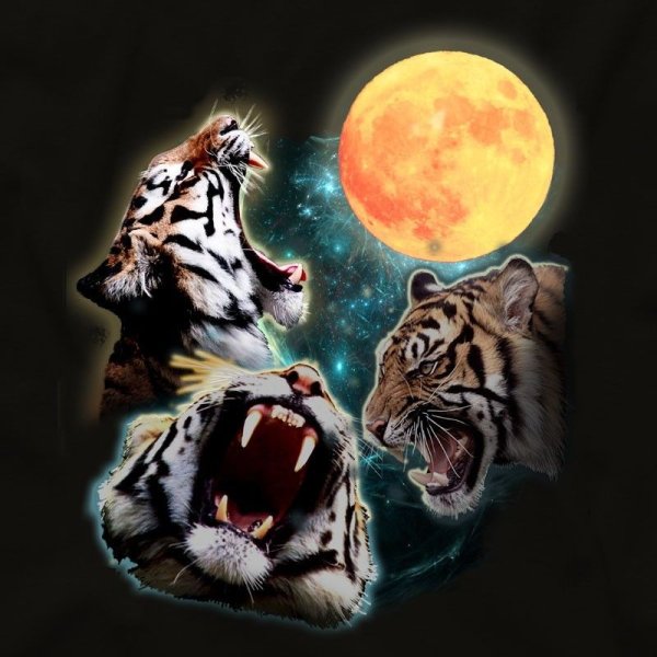 Тигр под луной