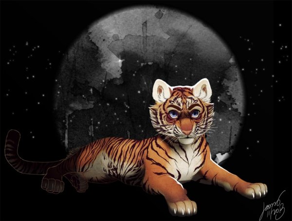 Космический Тигрёнок