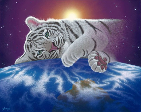 Уильям Шиммель картины