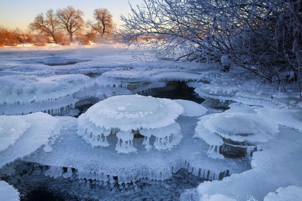 Чудеса зимней природы