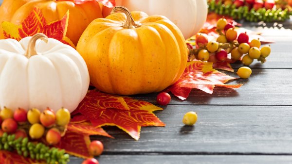 Осень тыквы