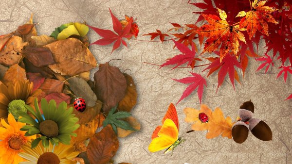 Осенняя тематика на рабочий стол