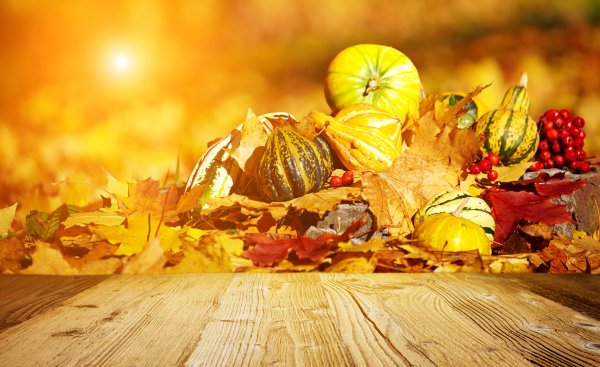 Осенняя тематика