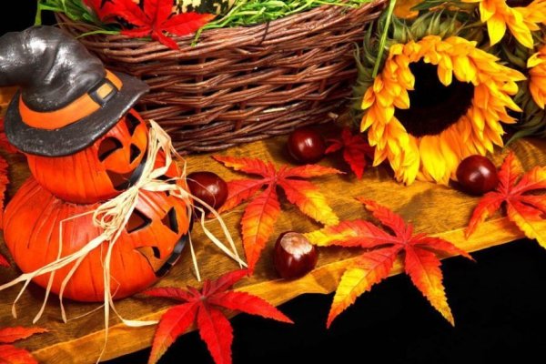 Осенняя тематика