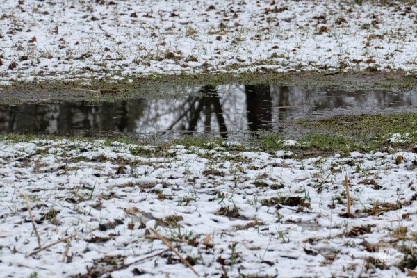 Снег в апреле