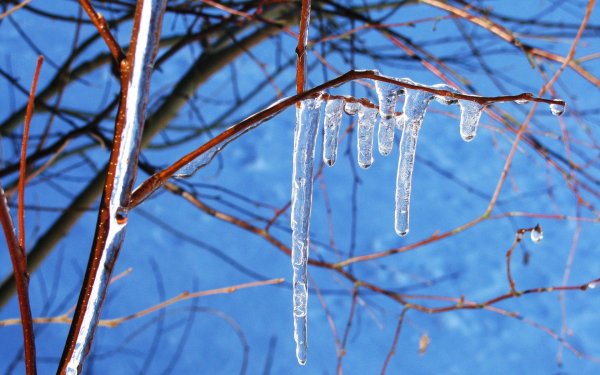 Весенняя капель
