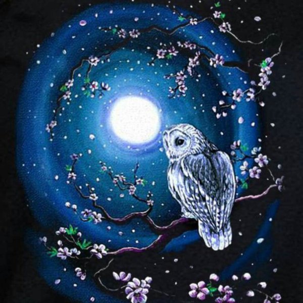 Сова и Луна рисунок