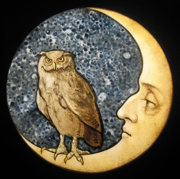 Сова в полумесяце