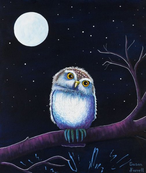 Рисование ночных совушек